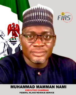 FIRS generates N4.178trn revenue in 10 months- Chairman