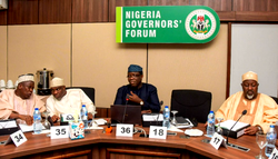 Ex-senate Chief backs NGF for revenue allocation formula review