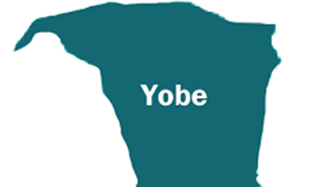 Yobe executive council approves N3.2bn for capital projects