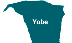 Yobe confirms arrest of suspect linked to Maiduguri bomb blast