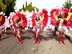 FTAN leads push for bigger, better Carnival Calabar 2026
