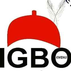 2023: Combination of 45 political parties demand for Igbo President