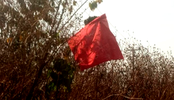 Alleged herdsmen hoist flag in Ekiti as community protests
