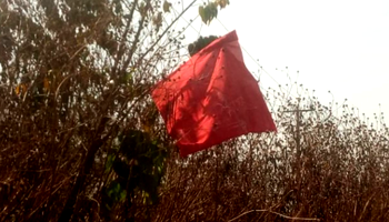 Alleged herdsmen hoist flag in Ekiti as community protests