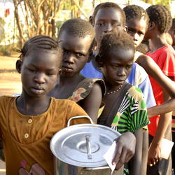 Over half of Zimbabweans face severe hunger, UN warns