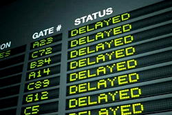 Hundreds of flights delayed as fog engulfs northern India