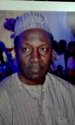 The rise, and rise of Daura