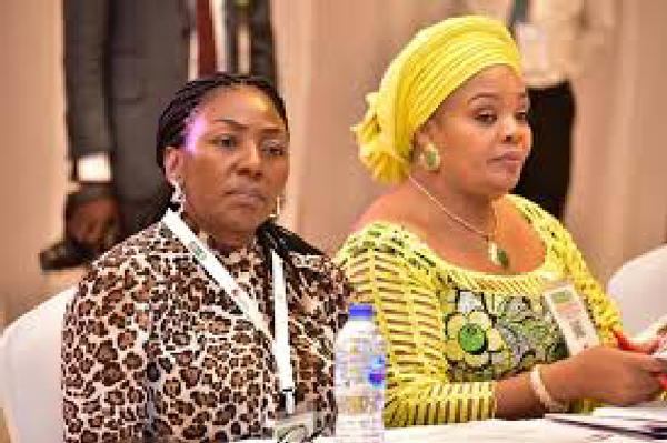 Ihedioha’s wife fetes Imo women, widows