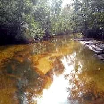 Oil producing, host communities tell SPDC to discontinue release of toxic waste into waterways