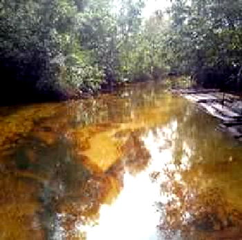 Oil Spill: Bayelsa community grumbles over purported inappropriate compensation