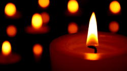 NUJ declares one week mourning for assassinated journalist