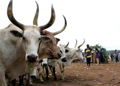 Anti open grazing law, Fulani herders , Oyo govt, House of Assembly