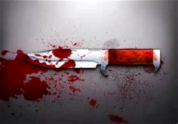 I stabbed Police Sergeant’s son over sharing of N300 – 13yrs old suspect