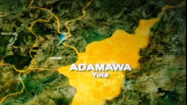 Adamawa INEC Begins Collation Of Governorship Supplementary Election   Adamawa 