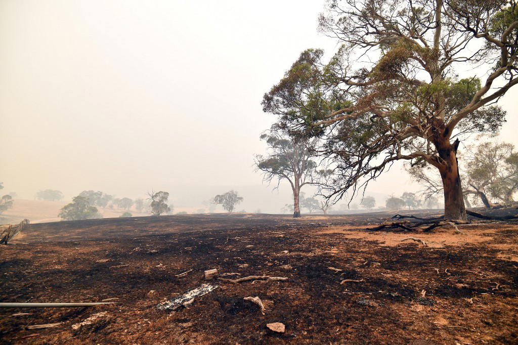 Australia, Bushfire