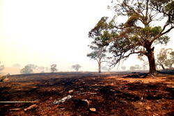Australia reels after another day of fire fury