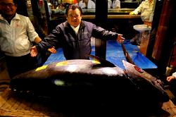 Tuna sells for $1.8 million in first Tokyo auction of 2020,