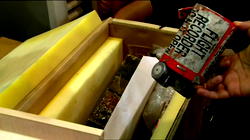 Ukraine gets access to crashed plane’s black boxes