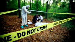 Forensic Analysis: Building up a case