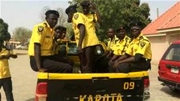 Kano agency intercepts vehicle with cannabis worth N30m