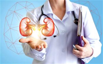 700 kidney transplants so far performed in Nigeria, Nephrology Association says