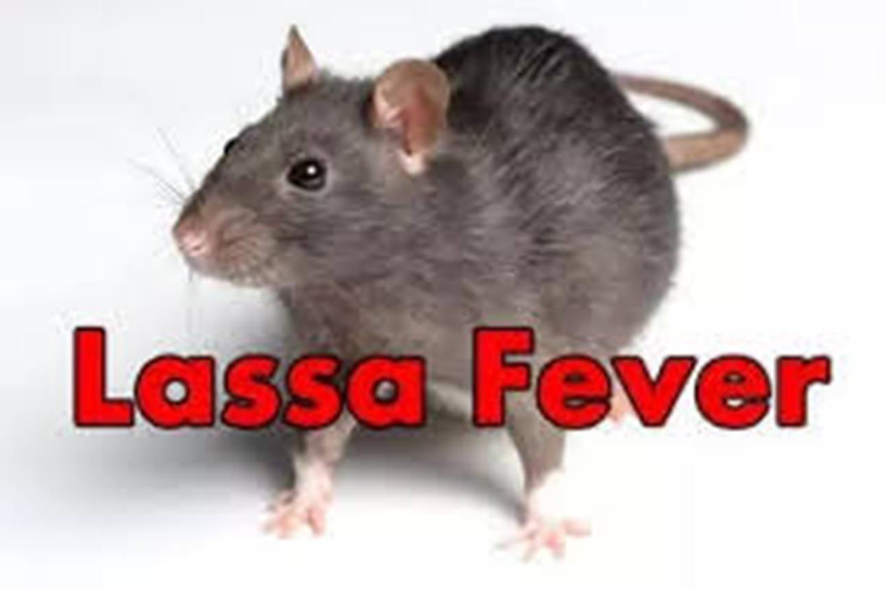 Lassa fever