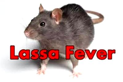 Taraba loses doctor to lassa fever complication