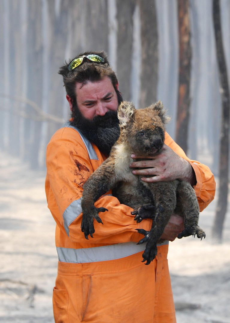 More than one billion animals die in Australia’s wildfires