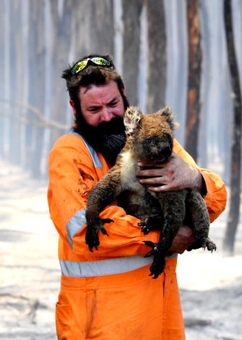 More than one billion animals die in Australia’s wildfires