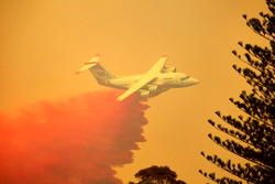 Plane fighting Australia wildfires crashes, killing three people