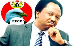 Alleged Extortion: Sen. Shehu Sani has questions to answer ― EFCC
