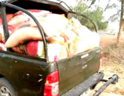 Smuggling: NIS intercepts 42 bags of foreign rice at Kankara