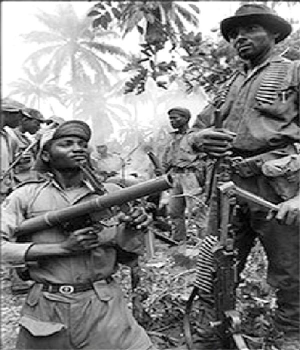 Biafran, war