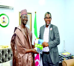 Using the mining sector to diversify Nigerian economy