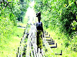 ‘Buhari neglected Jonathan’s govt’s projects in Niger Delta’