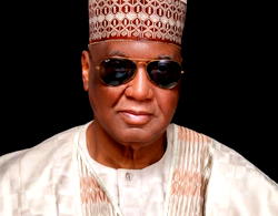 Without power privatisation, Nigeria will be in darkness —Bello