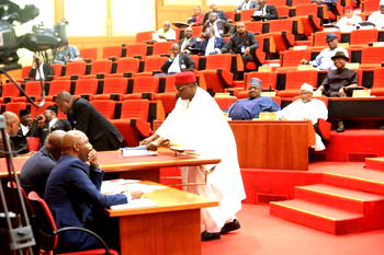 Senate passes N238.15bn budget for Customs in 2020