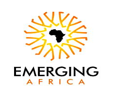 West African single currency threatens Nigeria’s fiscal policies – Emerging Africa CEO