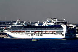 Sixty more people confirmed with coronavirus on cruise ship in Japan — media