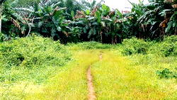 Enugu Communities enraged over acquisition of Ancestral Lands for Varsity