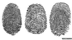 Forensic science and the law