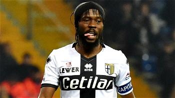 Gervinho exiled by Parma after training absences