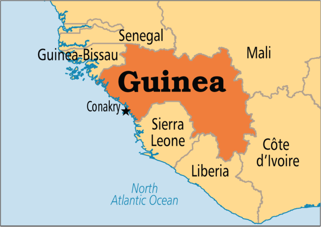 Guinea extends opposition party suspension ahead of presidential vote