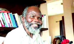 Too many generals, few soldiers fighting Boko Haram  — Gen Ishola Williams (retd)