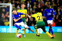 Lewis sinks Leicester to boost Norwich survival bid