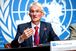 UN calls for donations to tackle desert locusts in Africa