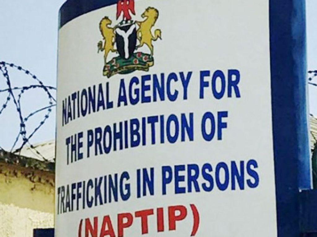 NAPTIP receives 8 rescued children, 2 suspected traffickers in Kano