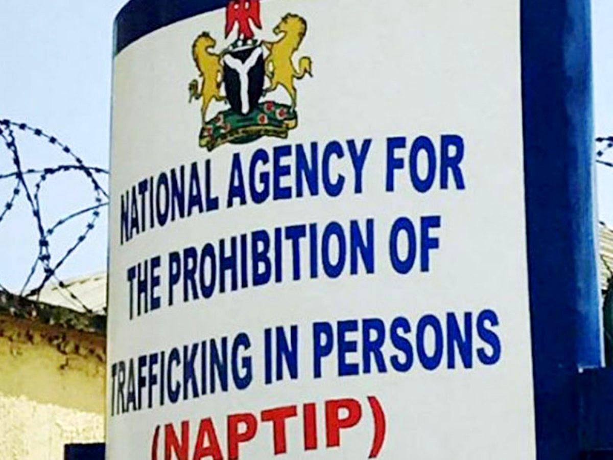NAPTIP receives 8 rescued children, 2 suspected traffickers in Kano