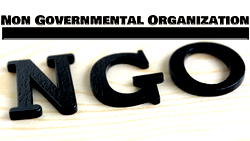 NGO urges govt. to invest in women’s health