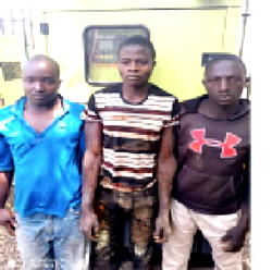 Ansaru: Police nab 3 bandits who killed officers attached to Emir of Potiskum